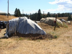 Dome #1 (brown) and Dome #2